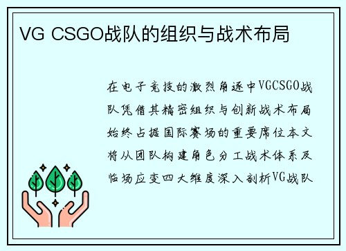 VG CSGO战队的组织与战术布局